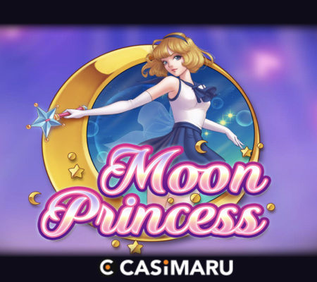 moon-princess-banner