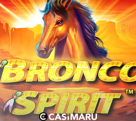 bronco-spirit-banner
