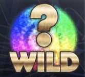 millionaire-wild-symbol