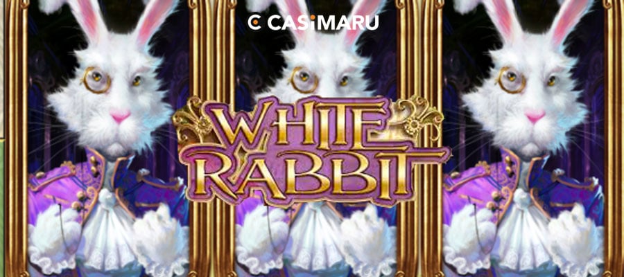 white-rabbit-banner