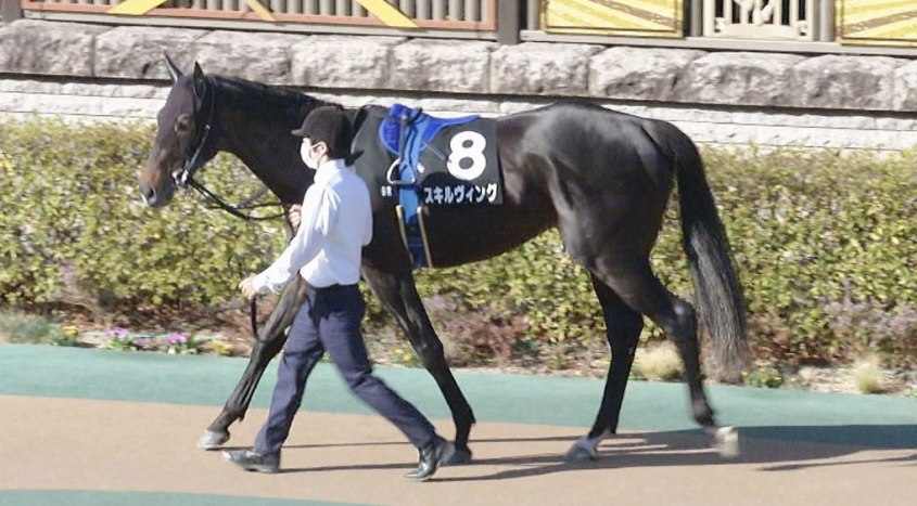 日本ダービー2023の有力馬（スキルヴィング）
