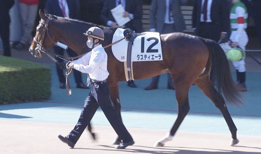 日本ダービー2023の有力馬（タスティエーラ）